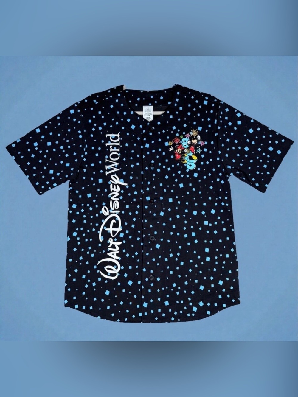 Disney Parks Walt Disney World 2025 Baseball Jersey